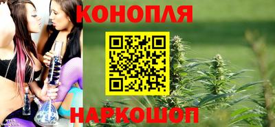 крисы Славянск-на-Кубани