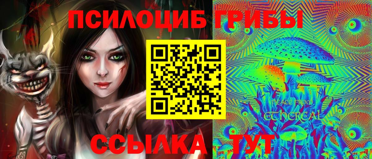 Галлюциногенные грибы прущие грибы Тверь
