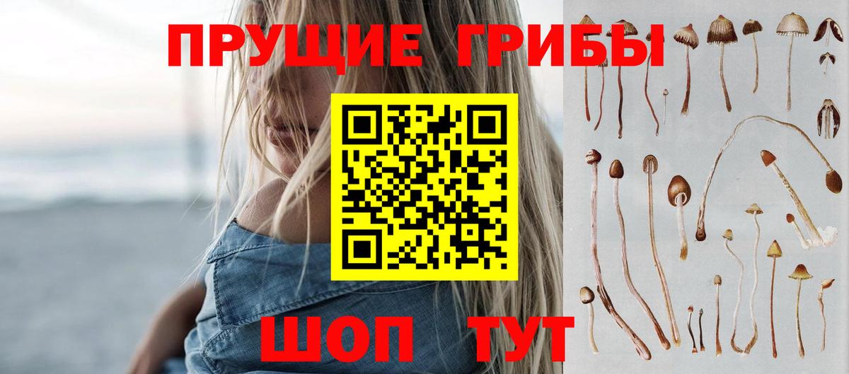 Псилоцибиновые грибы GOLDEN TEACHER  Вход с VPN  Тверь 